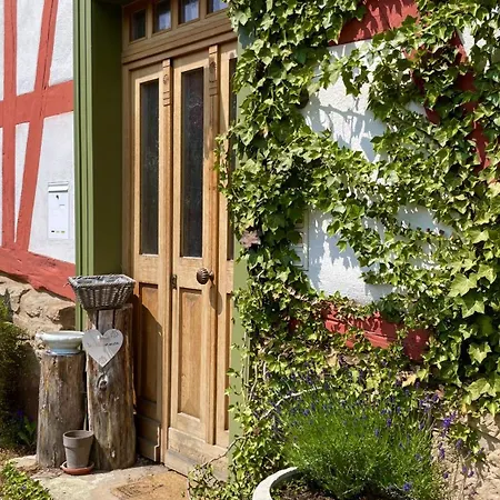 Holiday home Alte Pletschmuehle