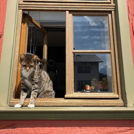 Alte Pletschmuehle بيت للعطل هومبرغ