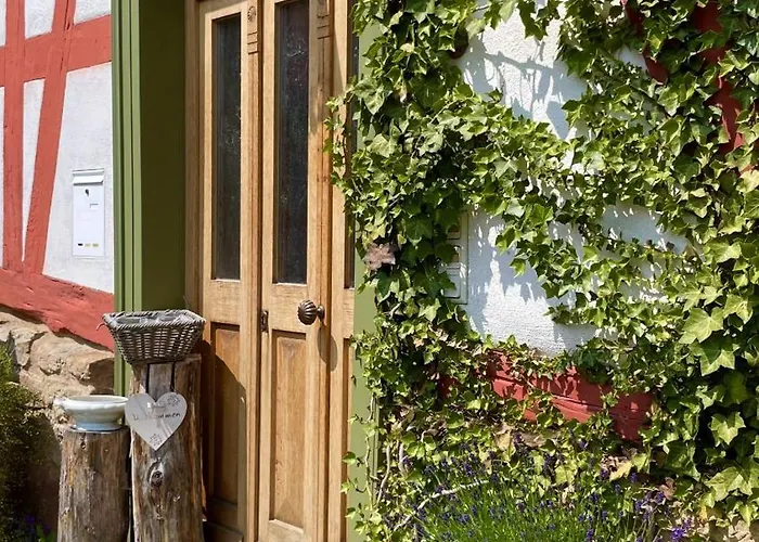 Prázdninový dům Alte Pletschmuehle