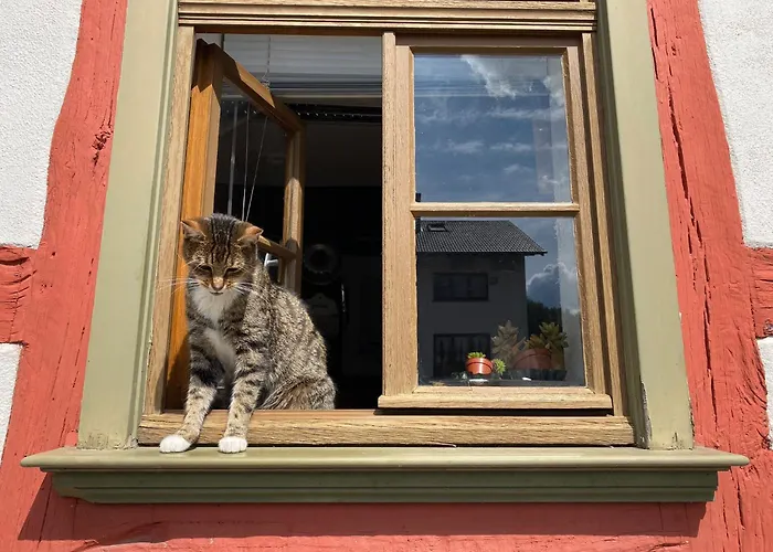 Alte Pletschmuehle Prázdninový dům Homberg (Schwalm-Eder)